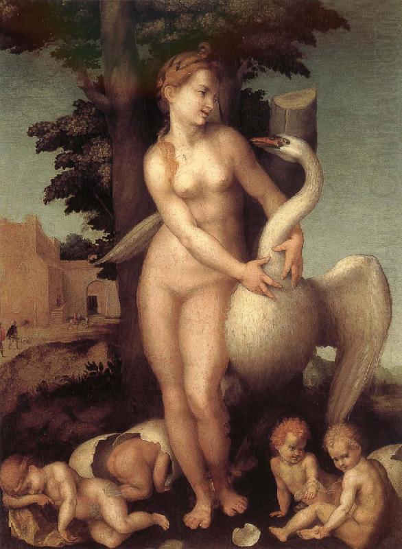 Andrea del Sarto Swan china oil painting image